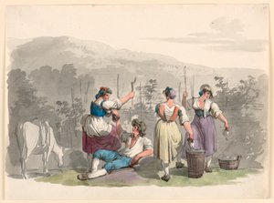 Weinlese in den Bergen bei Rom