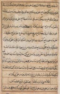 Seite aus Geschichten eines Papageis Tuti-nama: Textseite, ca. 1560