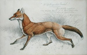 Ein angesehener General