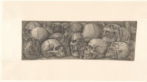 Menschliche Schädel, aus verschiedenen Blickwinkeln gesehen und als Fries gruppiert von Battista Franco (attributed to)
