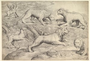 Sechs Tiere, darunter Löwen, ein Tiger, ein Leopard, ein Greif und eine Ziege, ca. 1530-61 von Battista Franco Veneziano