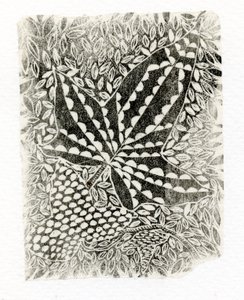 Efeu, 2014 von Bella Larsson