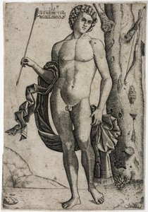 Ein junger Mann mit einem Pfeil von Benedetto Montagna