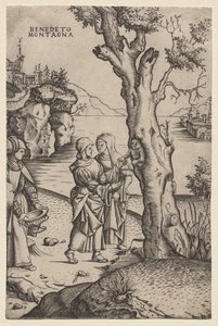 Geburt des Adonis (aus der Serie: Die Metamorphosen)