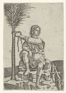 Mann sitzt bei einer Palme