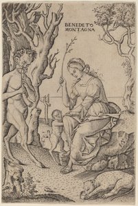 Satyrfamilie