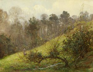 Gänse und Küken von Benjamin Haughton