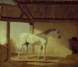 Das Pferd des Earl of Coventry