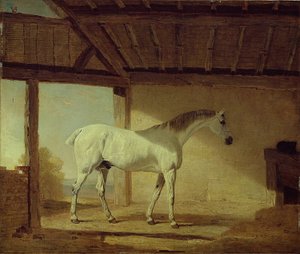 Das Pferd des Earl of Coventry, 1805