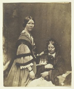 Mrs. Craik mit Katze, ca. 1858 von Benjamin Mulock