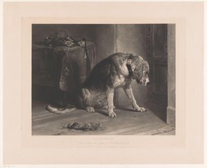 Hund wartet an einer Tür