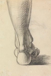 Anatomische Studie der Ferse eines Fußes
