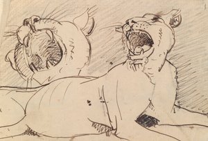 Studie einer Löwin von Benjamin Robert Haydon