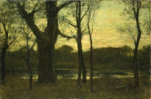 Ein Teich im Wald