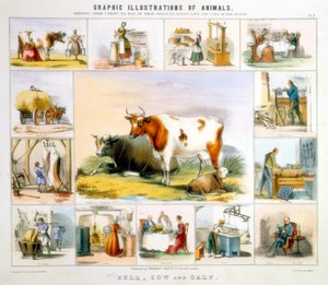 Die Kuh, ca. 1850