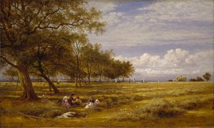 Ein englisches Heufeld, 1878