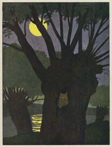 Eule in einem Baumloch in einer mondhellen Nacht von Benjamin Rabier