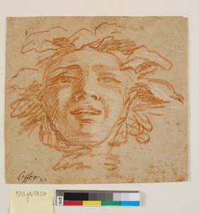 Gesicht eines Fauns? von Benoît Le Coffre