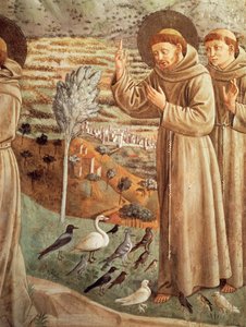 Geschichten aus dem Leben des Heiligen Franziskus, Predigt an die Vögel