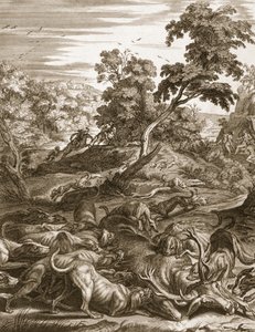 Actaeon wird in einen Hirsch verwandelt und von seinen Hunden verschlungen, 1731 von Bernard Picart