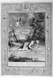 Narziss verliebt in sein eigenes Spiegelbild, 1733