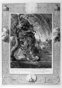 Tantalusqual, 1733