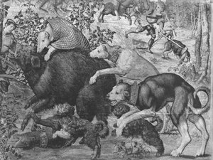 Die Jagden von Maximilian, Steinbock, Die Wildschweinjagd, Detail der Hunde, die das Wildschwein angreifen, Gobelins-Manufaktur