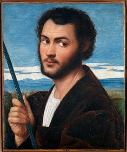 Porträt eines Mannes von Bernardino Licinio