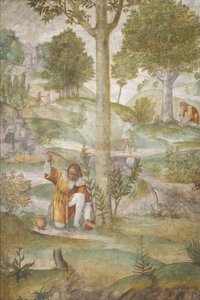Cephalus versteckt die Juwelen von Bernardino Luini