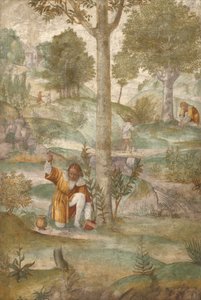 Kephalos versteckt die Juwelen von Bernardino Luini