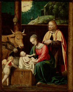 Die Geburt Christi von Bernardino Luini