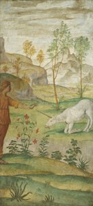 Procris und das Einhorn von Bernardino Luini