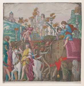 Blatt 5: Elefanten, aus Der Triumph von Julius Caesar, 1599