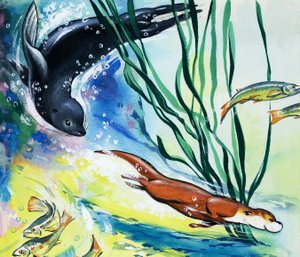 Fliptail der Otter