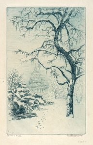 Kapitol im Winter