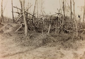 Album des Ersten Weltkriegs in Friaul-Julisch Venetien: Verteidigungshindernis (Spanische Reiter), 05/1916 von Bertoni Bertoni