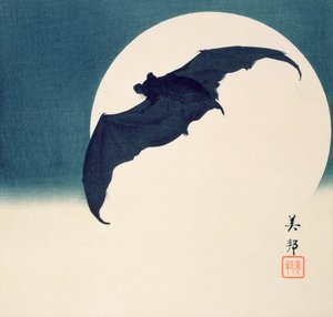 Fledermaus und Vollmond