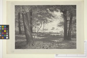 Waldrand