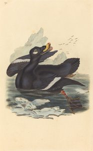 Samtente von British 19th Century