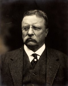 Theodore Roosevelt, ca. 1915