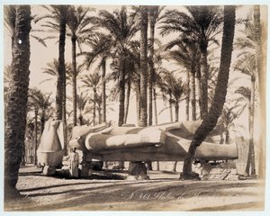 Eine Statue von Memphis liegt in einem Palmengarten in Ägypten - Fotografie von den Zangali-Brüdern, späte 19. Jahrhundert
