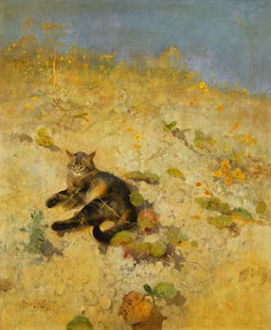 Eine Katze sonnt sich von Bruno Andreas Liljefors