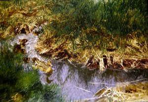 Enten und Entenküken in einem Bach von Bruno Andreas Liljefors