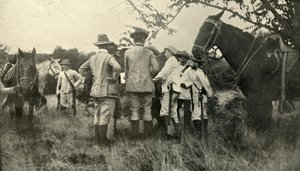 General Lawton lernt von kubanischen Offizieren...30. Juni, Spanisch-Amerikanischer Krieg, 1898, 1899 von Burr McIntosh