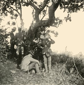 Baum, von dem aus Captain Paget...Sah...Schlacht von San Juan, Spanisch-Amerikanischer Krieg, Juni 1898, 1899