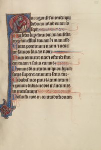 Initial O: Gott pflegt den Weinberg
