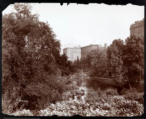 Central Park mit Blick auf die Savoy und Plaza Hotels, 5th Avenue und 59th Street, New York, um 1896-98 von Byron Company
