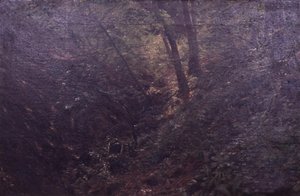 Frühling in einer Schlucht