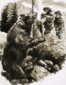 Amerikanischer Grizzlybär wird von Fallenstellern erschossen von C.L. Doughty