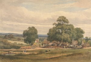 Emerey Down bei Lyndhurst, New Forest, Hants von C. John M. Whichelo